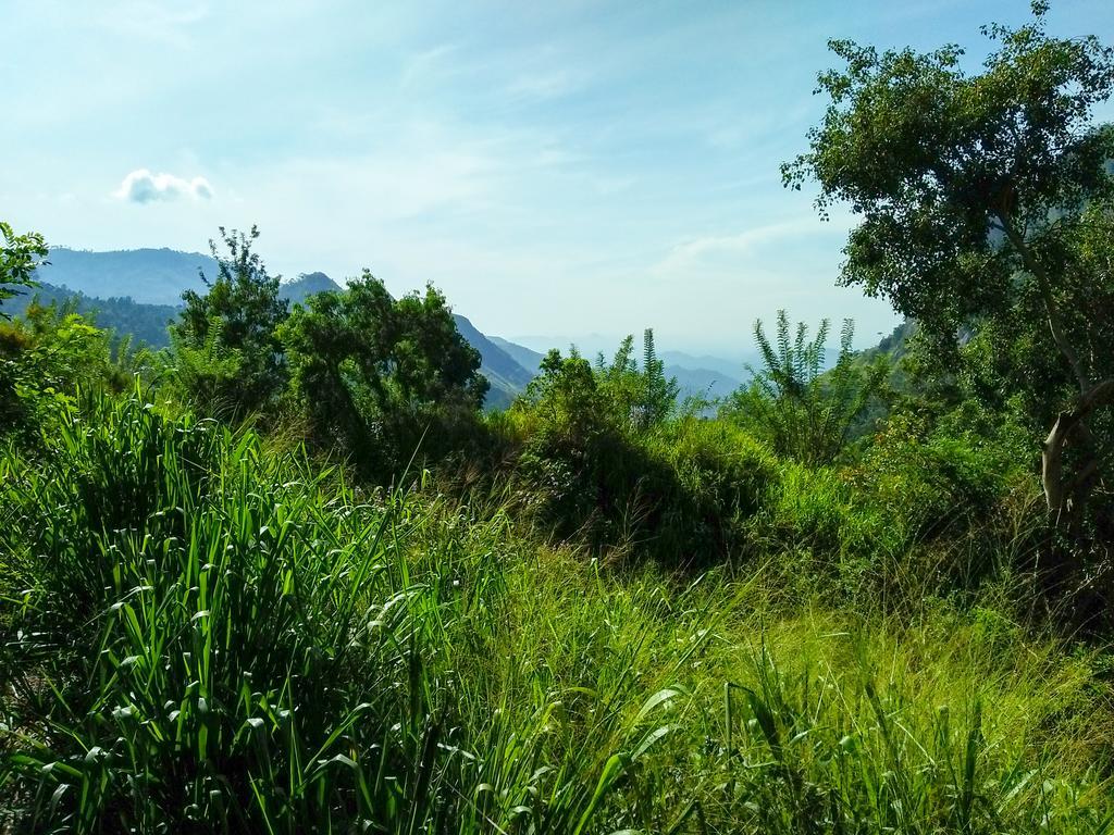 Village View Homestay Ella Εξωτερικό φωτογραφία