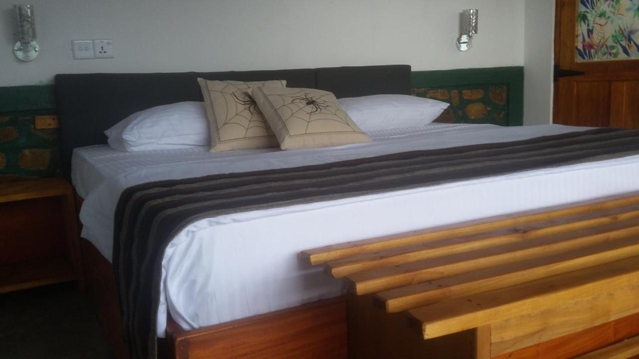 Village View Homestay Ella Εξωτερικό φωτογραφία